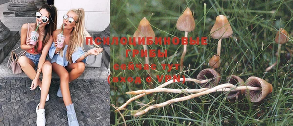 индика Баксан