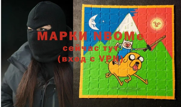 индика Баксан