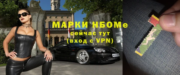 индика Баксан