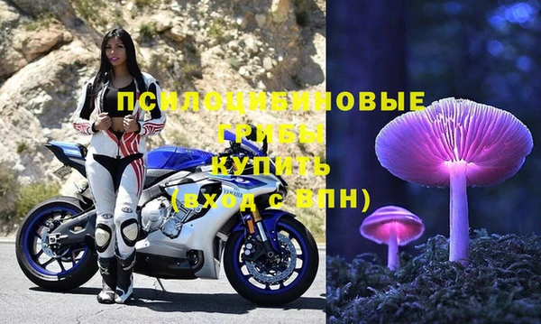 индика Баксан