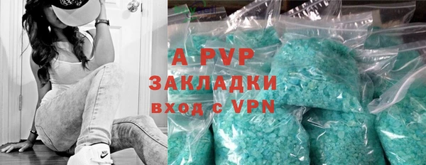 индика Баксан