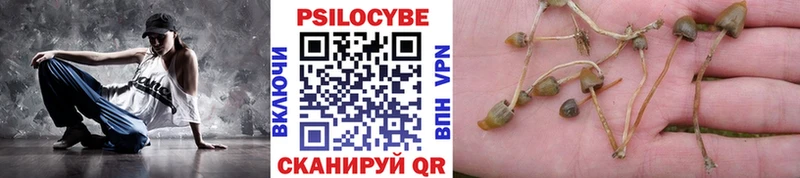 KRAKEN зеркало  Лангепас  Псилоцибиновые грибы Magic Shrooms 